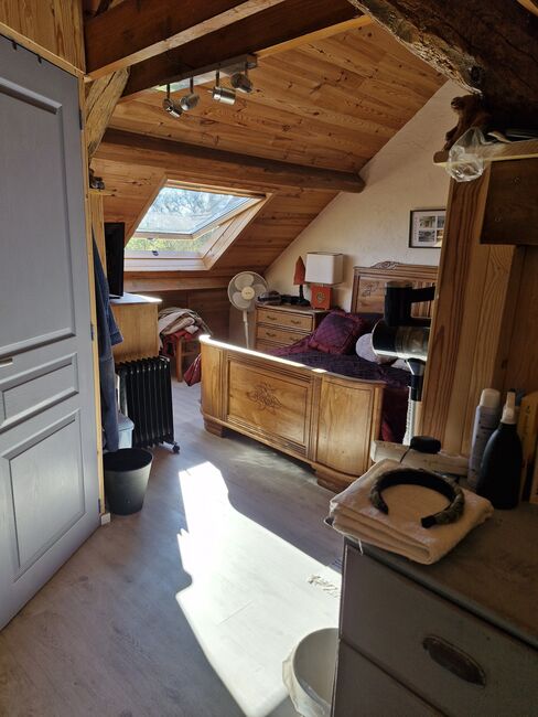 Farmhouse, with attached barn, outbuilding and land, Anne Aspley-Bagwell , Pferdeimmobilien, Domeyrot , Abbildung 11