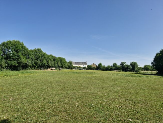 Farmhouse, with attached barn, outbuilding and land, Anne Aspley-Bagwell , Equestrian Properties, Domeyrot , Image 5