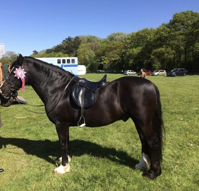 Farrington’s GP, Farrington’s  GP, Dawn Jones, All Purpose Saddle, Dyffryn Ardudwy 