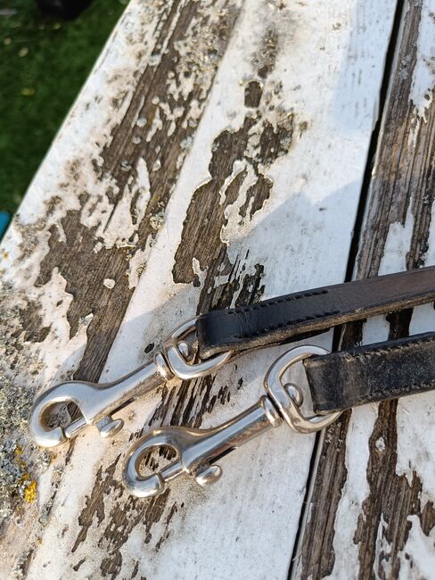 Feststehendes Martingall mit Zügel, Franziska Heel , Training Aids, Niefern-Öschelbronn, Image 2