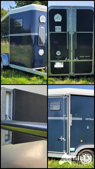 Fautras Provan Classic (EZ 2016), Fautras Provan Classic, Alexandra Winter , Horse Trailers, Rodenbach , Image 8