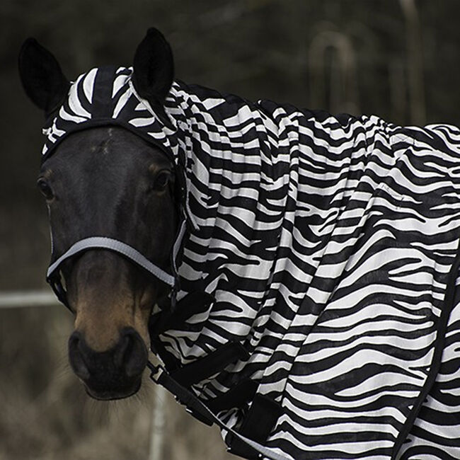 fedimax Zebra Fliegendecke “free moving” mit Halsteil & Bauchlatz 135, fedimax Zebra Fliegendecke “free moving” mit Halsteil & Bauchlatz, myMILLA (myMILLA | Jonas Schnettler), Horse Blankets, Sheets & Coolers, Pulheim, Image 3