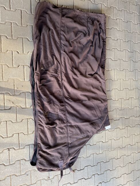 Fedimax Abschwitzdecke in 145 cm, Fedimax, Julia, Horse Blankets, Sheets & Coolers, Dienheim