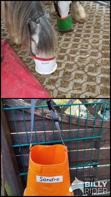 Futterbeutel, ideal für Gruppenhaltung und Wanderritte, Elena , Horse Feed & Supplements, Auggen, Image 3