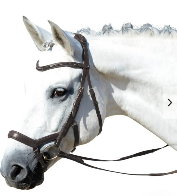 Trense "Feeling" von Busse - anatomisch, Busse Feeling, Theresa Baumann , Bridles & Headstalls, Trendelburg 