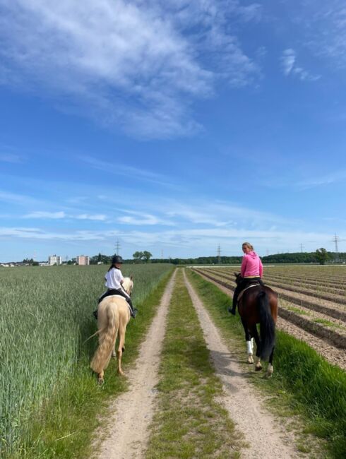 Feine 6 jährige palomino Stute zu verkaufen, Lisa kretschmann , Pferd kaufen, Darmstadt, Abbildung 9
