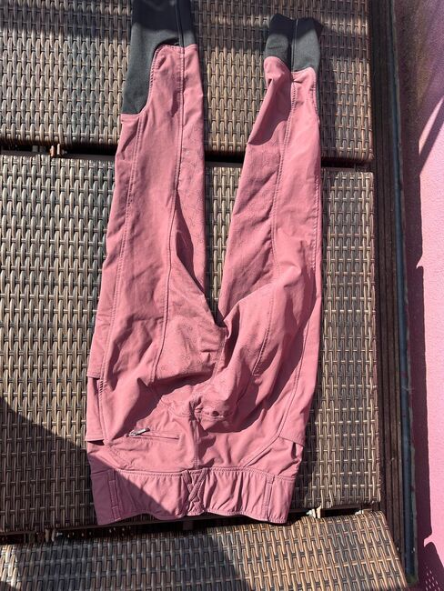 Felix Bühler Vollbesatz Grip-Reithose Femke, Größe 38, Beerenfarbe, Felix Bühler Grip-Reithose Femke, Laura , Bryczesy, Image 3