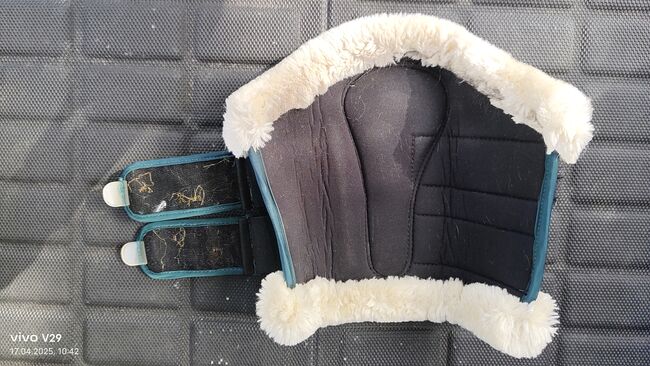 Felix Bühler Dressurgamaschen vorne WB Green Lake, Felix Bühler  Essential, Katja Presch, Tendon Boots, Sankt Koloman, Image 3