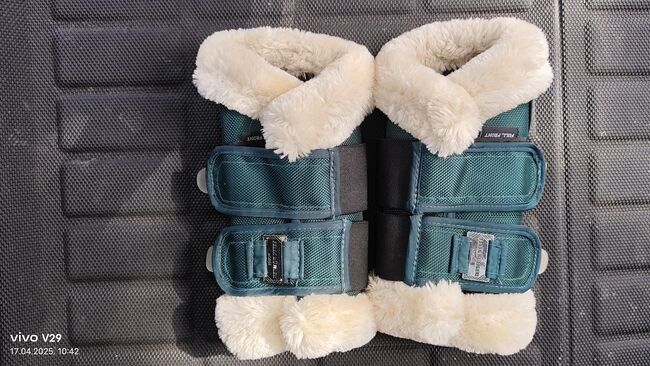Felix Bühler Dressurgamaschen vorne WB Green Lake, Felix Bühler  Essential, Katja Presch, Tendon Boots, Sankt Koloman