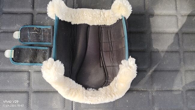 Felix Bühler Dressurgamaschen vorne WB Green Lake, Felix Bühler  Essential, Katja Presch, Tendon Boots, Sankt Koloman, Image 4