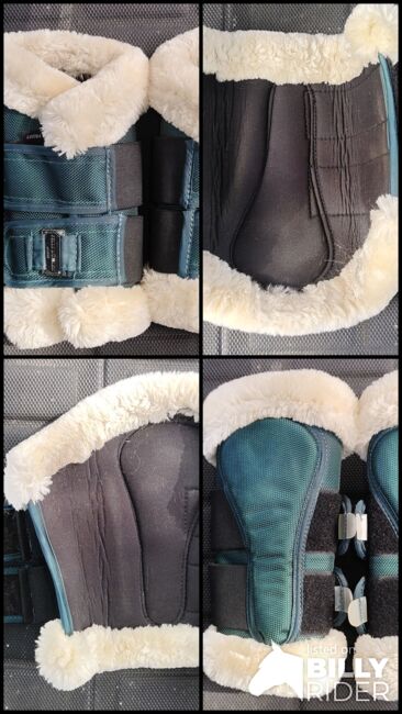 Felix Bühler Dressurgamaschen vorne WB Green Lake, Felix Bühler  Essential, Katja Presch, Tendon Boots, Sankt Koloman, Image 5