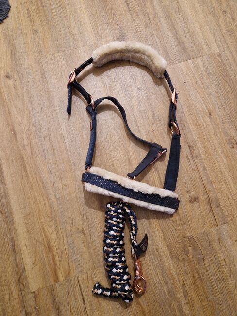 Felix Bühler Halfter + Strick, Felix Bühler, Jessica L, Halters, Arpsdorf