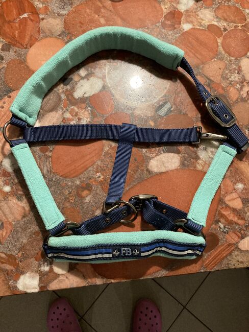 Felix Bühler Halfter, Felix Bühler, Amelie , Halters, Oberperfuss 