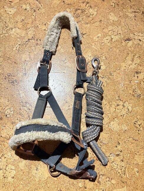 Felix Bühler Halfter mit Strick Pony Cob, Felix Bühler , Franzi, Halters, Korbach 