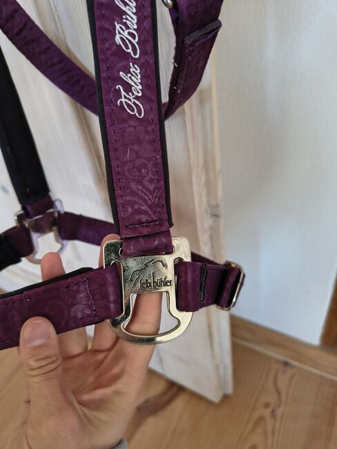 Felix Bühler Halfter Oriental Summer Lila Cob, Felix Bühler  Halfter Oriental Summer, Sarah, Halters, Eichstätt , Image 4