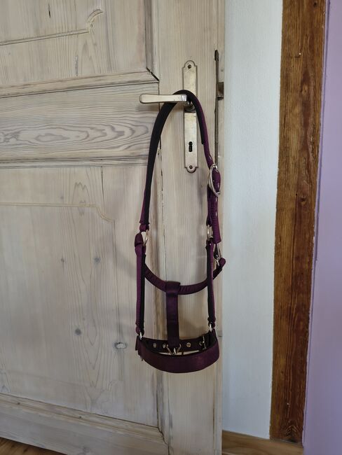 Felix Bühler Halfter Oriental Summer Lila Cob, Felix Bühler  Halfter Oriental Summer, Sarah, Halters, Eichstätt , Image 3