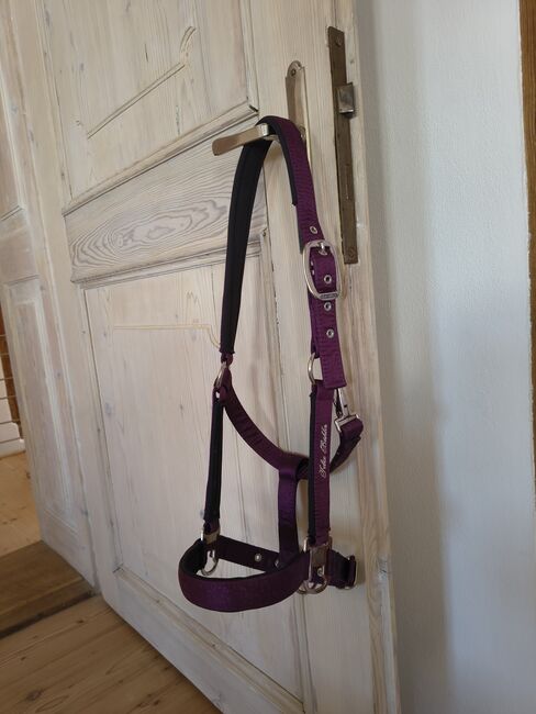 Felix Bühler Halfter Oriental Summer Lila Cob, Felix Bühler  Halfter Oriental Summer, Sarah, Halters, Eichstätt 