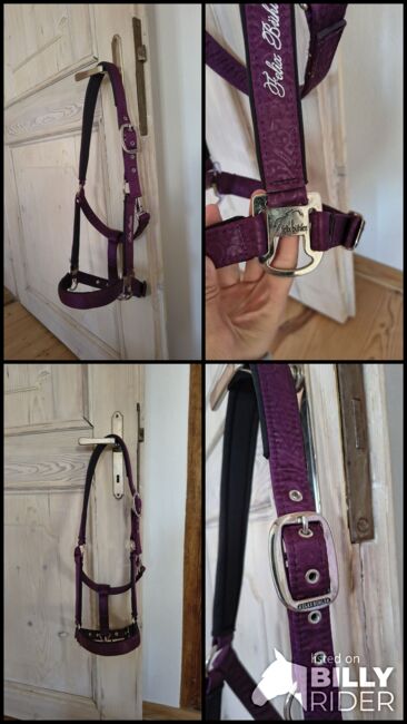 Felix Bühler Halfter Oriental Summer Lila Cob, Felix Bühler  Halfter Oriental Summer, Sarah, Halters, Eichstätt , Image 5