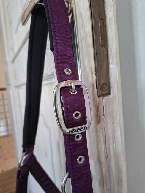 Felix Bühler Halfter Oriental Summer Lila Cob, Felix Bühler  Halfter Oriental Summer, Sarah, Halters, Eichstätt , Image 2