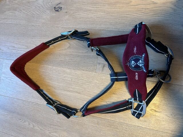 Felix Bühler Halfter WB, Felix Bühler, Stephanie Mathis, Halters, Oerlingen