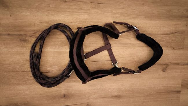 Halfter Felix Bühler Mahagoni mit schwarzem Teddyfleece, Felix Bühler , Frieda Hammes , Halters, Gau-Bischofsheim