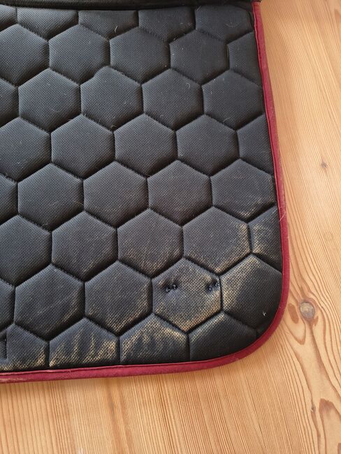 Felix Bühler Schabracke VS Maritim, Felix Bühler  Maritim VS, Sarah, Dressage Pads, Eichstätt , Image 4