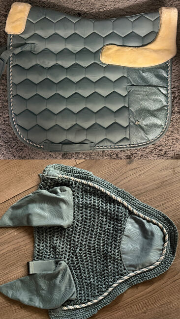 Felix bühler sett, Luana, Dressage Pads, Büren an der Aare