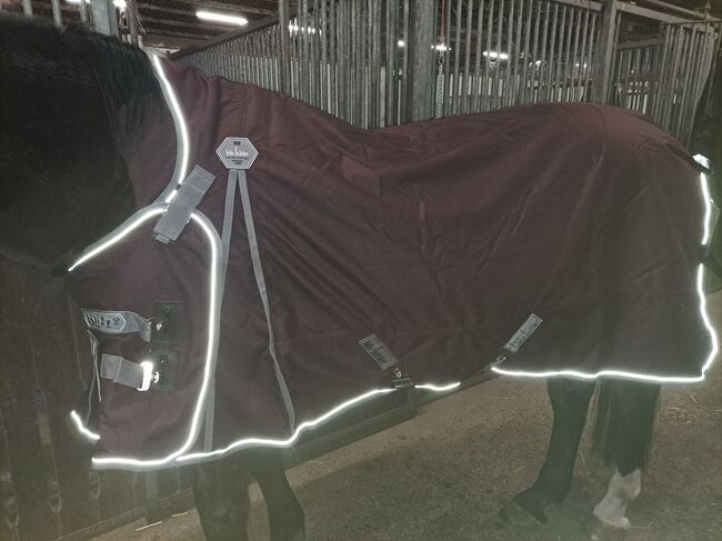 Felix Bühler sideclosured highneck 50g, Felix Bühler  Sideclosured highneck 50g, Manuela, Horse Blankets, Sheets & Coolers, Loxstedt, Image 7