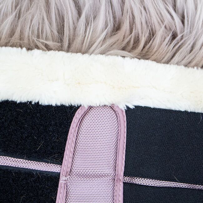 Felix Bühler Teddyfleece-Dressurgamaschen “Essential” Frozen-Rose COB Hinterbeine 2er Set, Felix Bühler Essential, myMILLA (myMILLA | Jonas Schnettler), Gamaschen, Pulheim, Abbildung 3