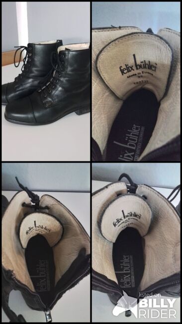 Felix Bühler TORINO Reitstiefelette Leder Gr.36 Schwarz, Felix Bühler  Torino, Manuela Wölk , Jodhpur Boots, Langenfeld , Image 11