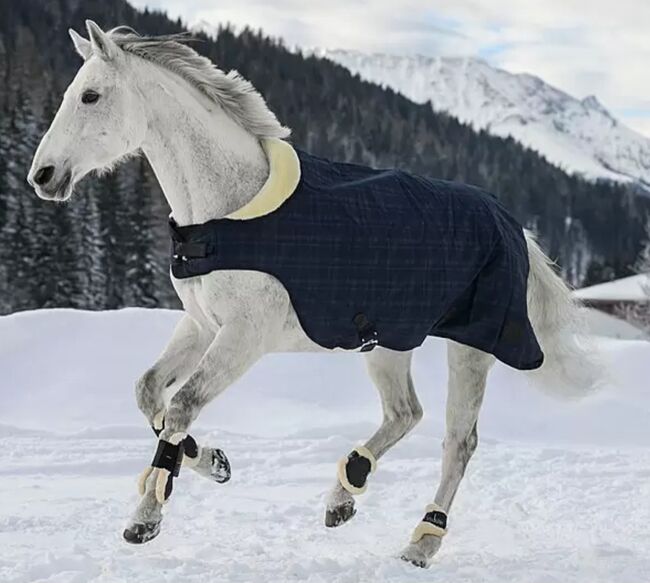 Felix Bühler Walker Timeless Elegance 100g, Felix Bühler , Danny, Horse Blankets, Sheets & Coolers, Solingen , Image 3