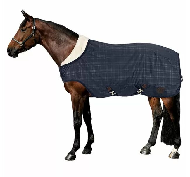 Felix Bühler Walker Timeless Elegance 100g, Felix Bühler , Danny, Horse Blankets, Sheets & Coolers, Solingen 