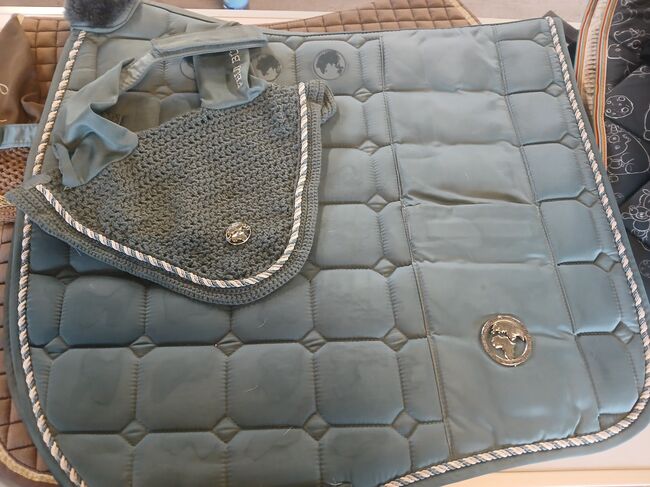 Felix Bühler Schabracke und Fliegenohren, Felix Bühler , Sarah, Dressage Pads, Offenbach 