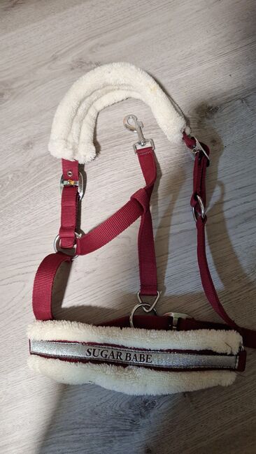Fellhalfter (Pink/Rot), Tero Brandt, Halfter, Ratekau
