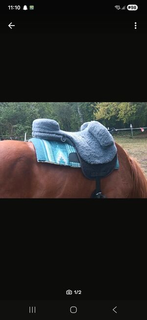 Fellsattel, Luna Gutknecht , Reitpad, Dorst 