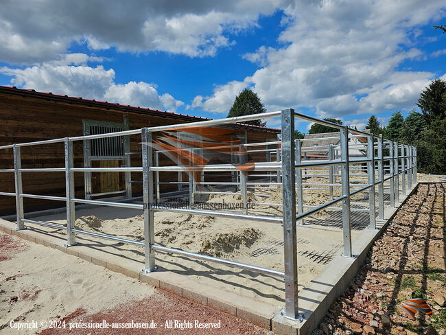 Zäune für Paddocks, Reitplätze & Weiden - Hochwertige Pferdezäune / Pferdekoppelzaun, AUSSENBOXEN PADDOCK - Zäune, AUSSENBOXEN (AUSSENBOXEN), Horse & Stable Mats, Wałcz