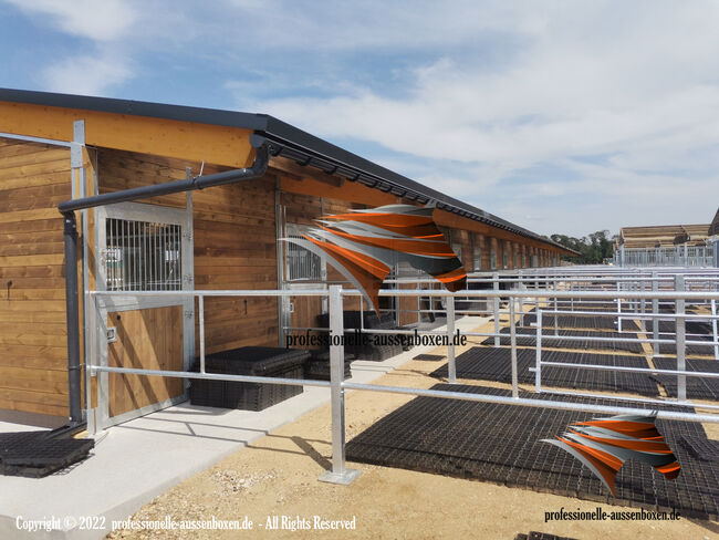 Zäune für Paddocks, Reitplätze & Weiden - Hochwertige Pferdezäune / Pferdekoppelzaun, AUSSENBOXEN PADDOCK - Zäune, AUSSENBOXEN (AUSSENBOXEN), Horse & Stable Mats, Wałcz, Image 12