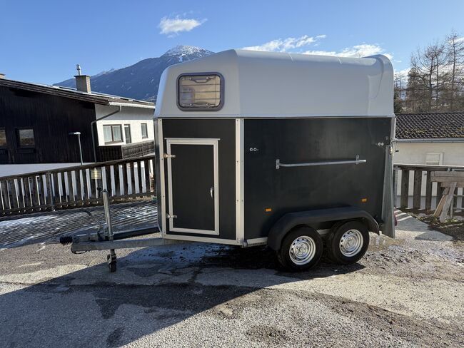 Wörmann Festival, Wörmann  Festival , Bernhard , Przyczepa konna, Mutters 