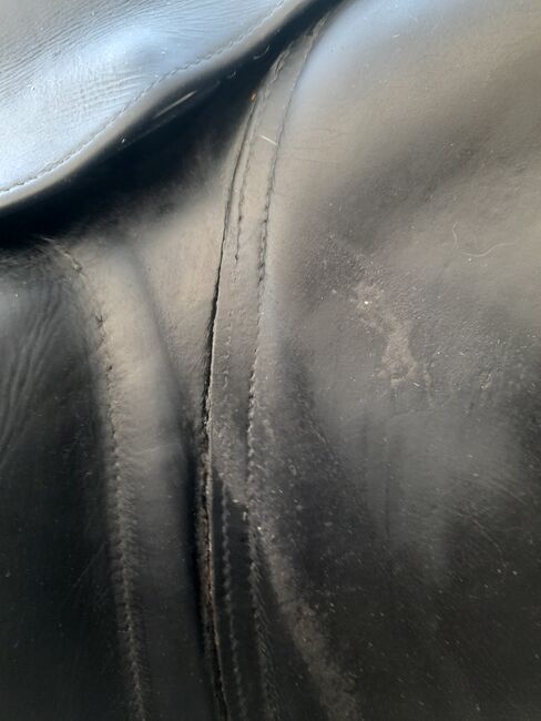 Fichtbauer Dressursattel PAURA KCR, Fichtbauer Paura KCR, Cloe, Dressage Saddle, Schenefeld , Image 13