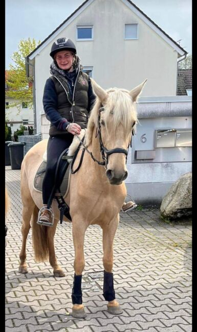 Feine 6 jährige palomino Stute zu verkaufen, Lisa kretschmann , Horses For Sale, Darmstadt, Image 16