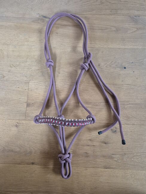 Hübscher Knotenhalfter neu!, Céline, Halters, Worb
