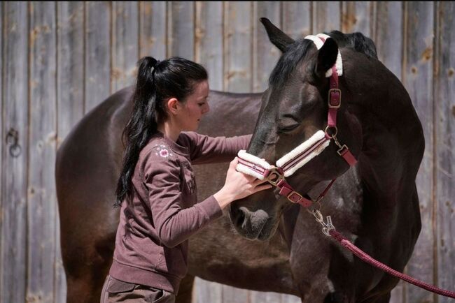 Physiotherapie für Pferde, Pferdephysio, Jennifer Kraft  (Physiotherapie Kraftpaket ), Terapia i leczenie, Rimbach