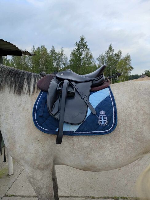 Butterfly Michael Putz, Butterfly Michael Putz, Anna, All Purpose Saddle, Kraków, Image 2