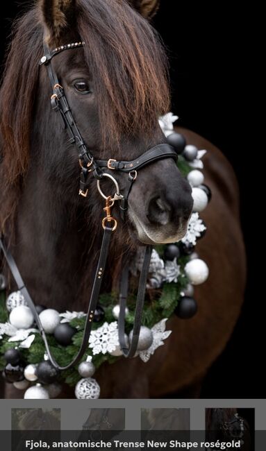 Fjola Epona Isländer anatomische Trense Roségold, Epona Fjola New Shape, Alexandra , Bridles & Headstalls, Fürth, Image 9