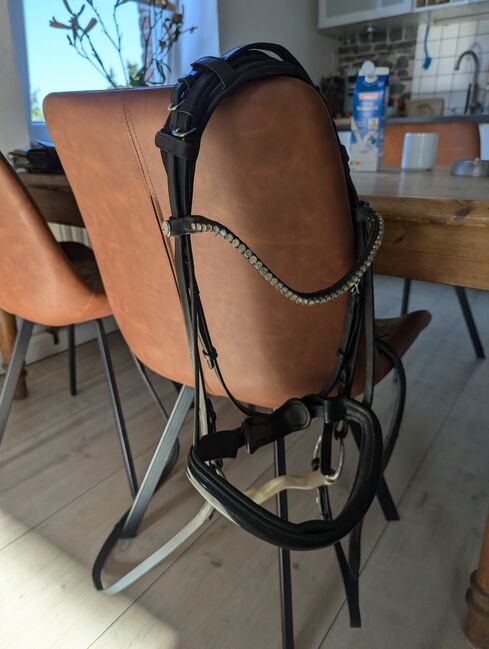 Tadellose Bridlery Trense flach-genäht, Bridlery , Andrea, Bridles & Headstalls, Viersen