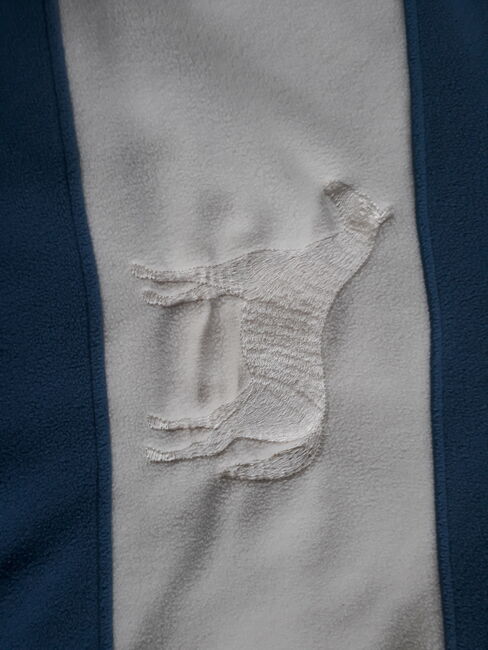 Fleecepullover DMS hellblau/beige Gr.XS, DMS, Antonia, Children's Shirts & Tops, Hildesheim, Image 3