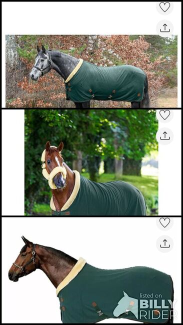 Fleete Abschwitzdecke Timeless Elegance mit Teddyfleece Kragen Felix Bühler, Felix Bühler, Kim, Horse Blankets, Sheets & Coolers, Testorf-Steinfort, Image 4