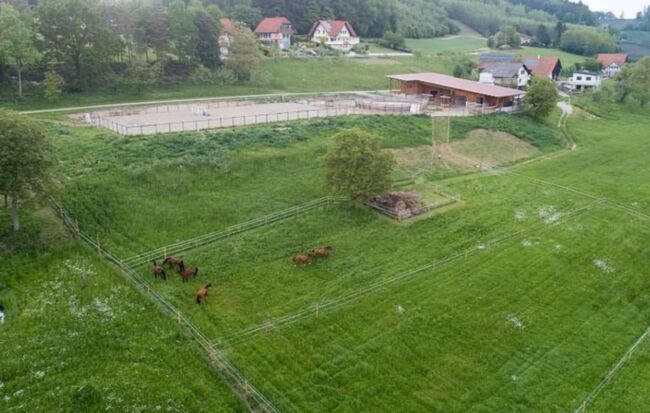 Mehrere Einstellplätze frei (Offenstall oder Paddockbox), Melanie, Horse Stables, Markt Hartmannsdorf