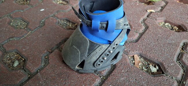 Flex hoof boot 130 blauer Gaiter, Flex hoof boot Normal, Iren Altmann , Hoof Boots & Therapy Boots, Denzlingen, Image 5