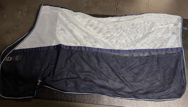 Fliegendecke Blau, Nina, Fliegenschutz, Burgbernheim 